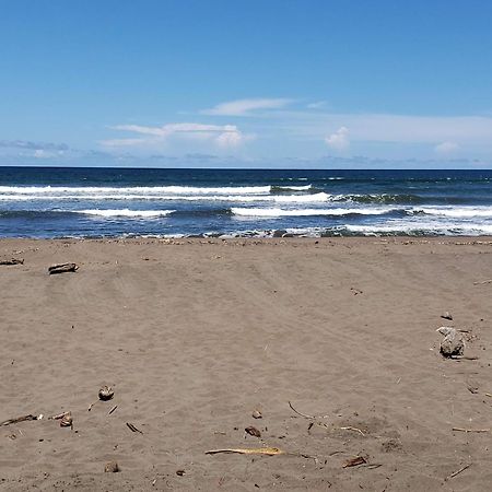 Alma Del Bosque Hotel Tortuguero Dış mekan fotoğraf