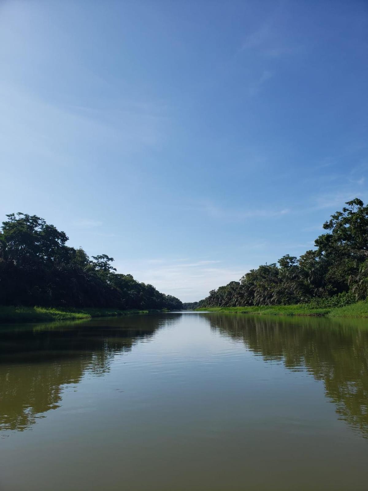 Alma Del Bosque Hotel Tortuguero Dış mekan fotoğraf