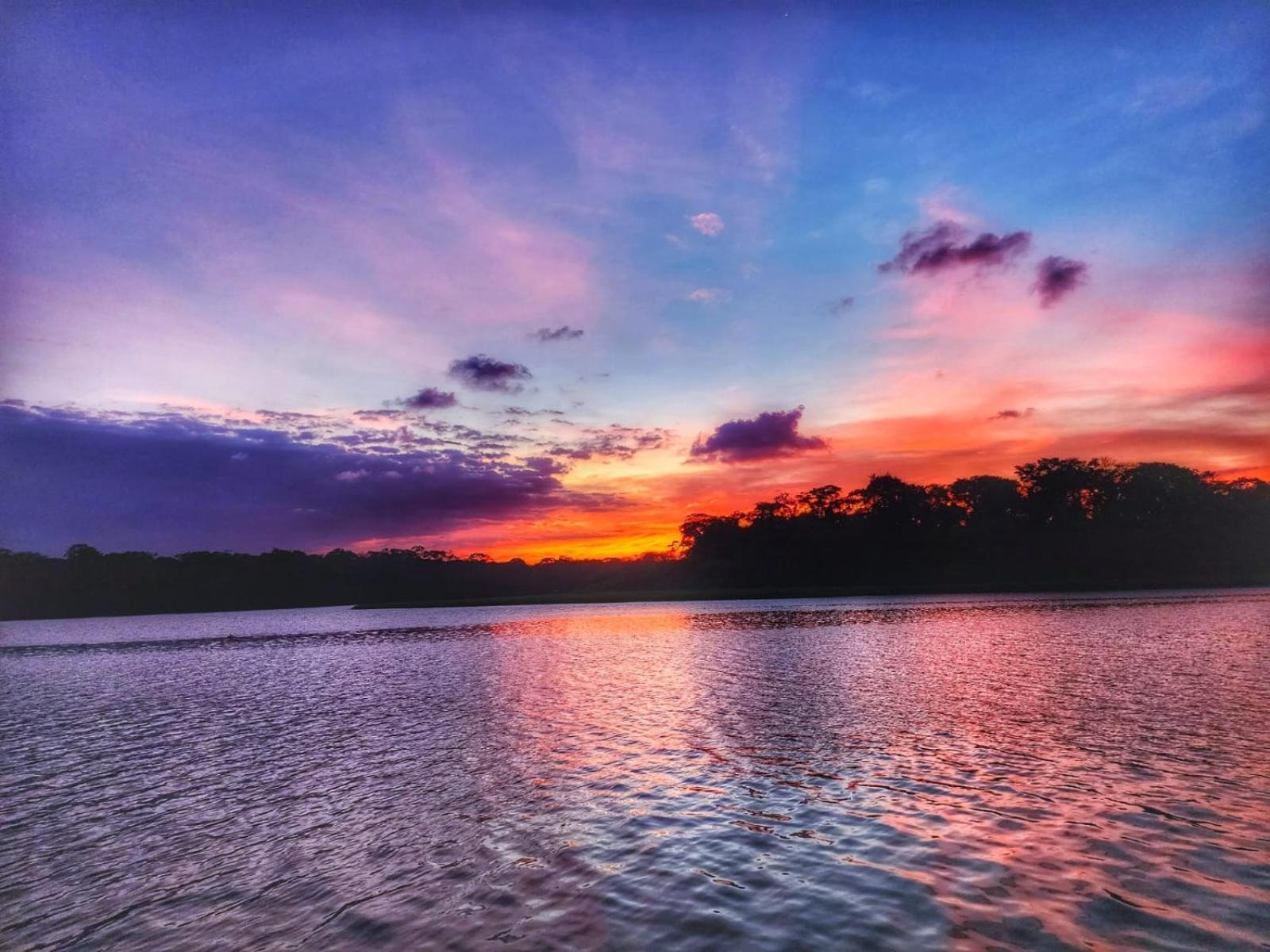 Alma Del Bosque Hotel Tortuguero Dış mekan fotoğraf